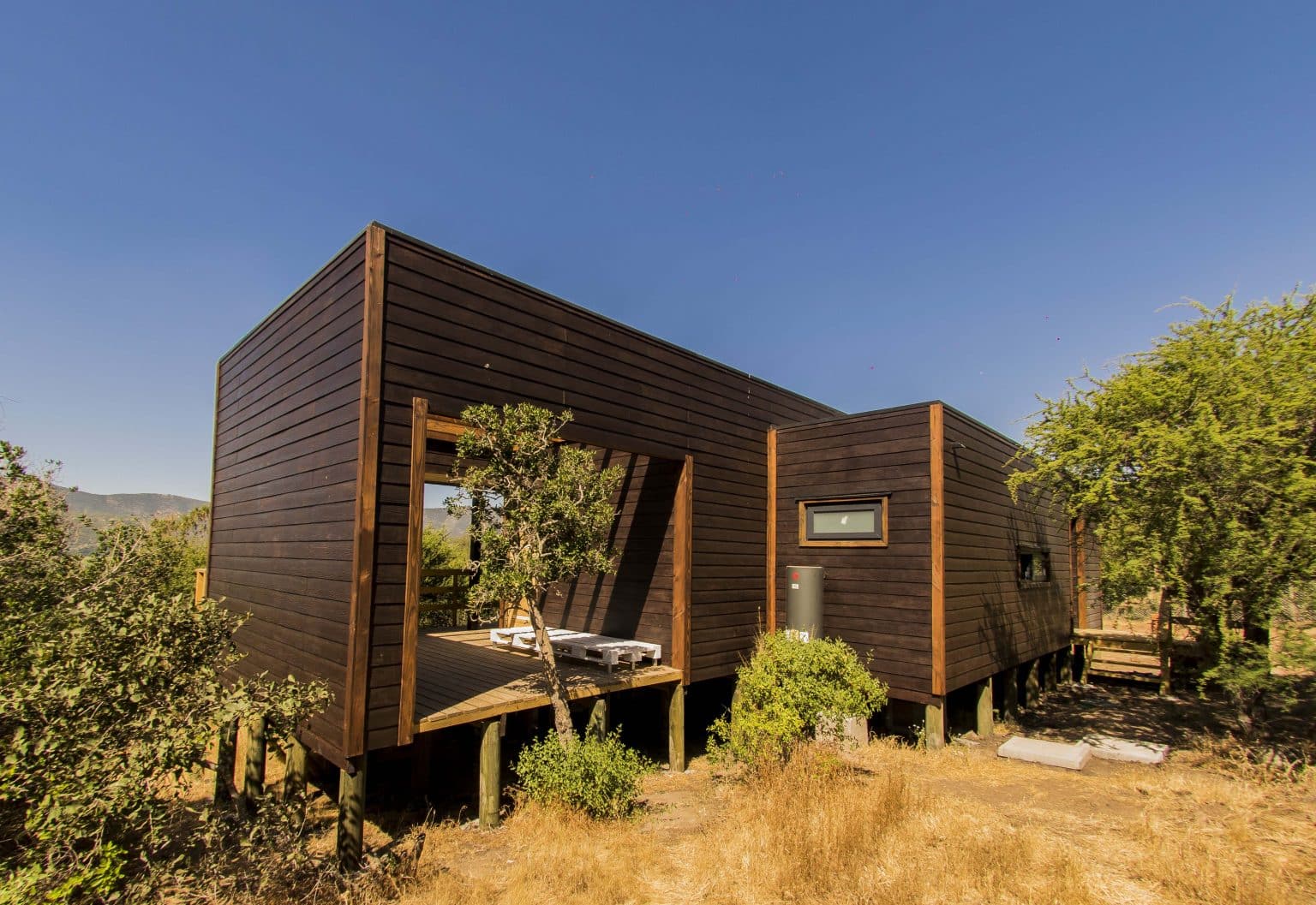 proyecto-laguna-de-ac-leo-casas-arbolito
